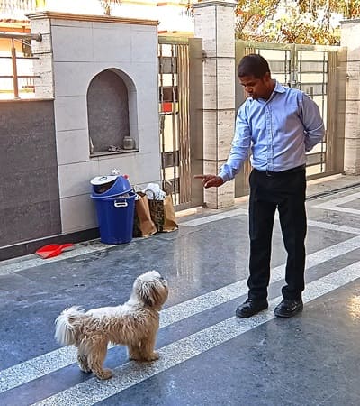 Dog Training in Navi Mumbai