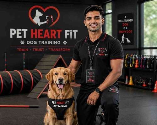 Pet Heart Fit
