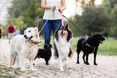 Walking
